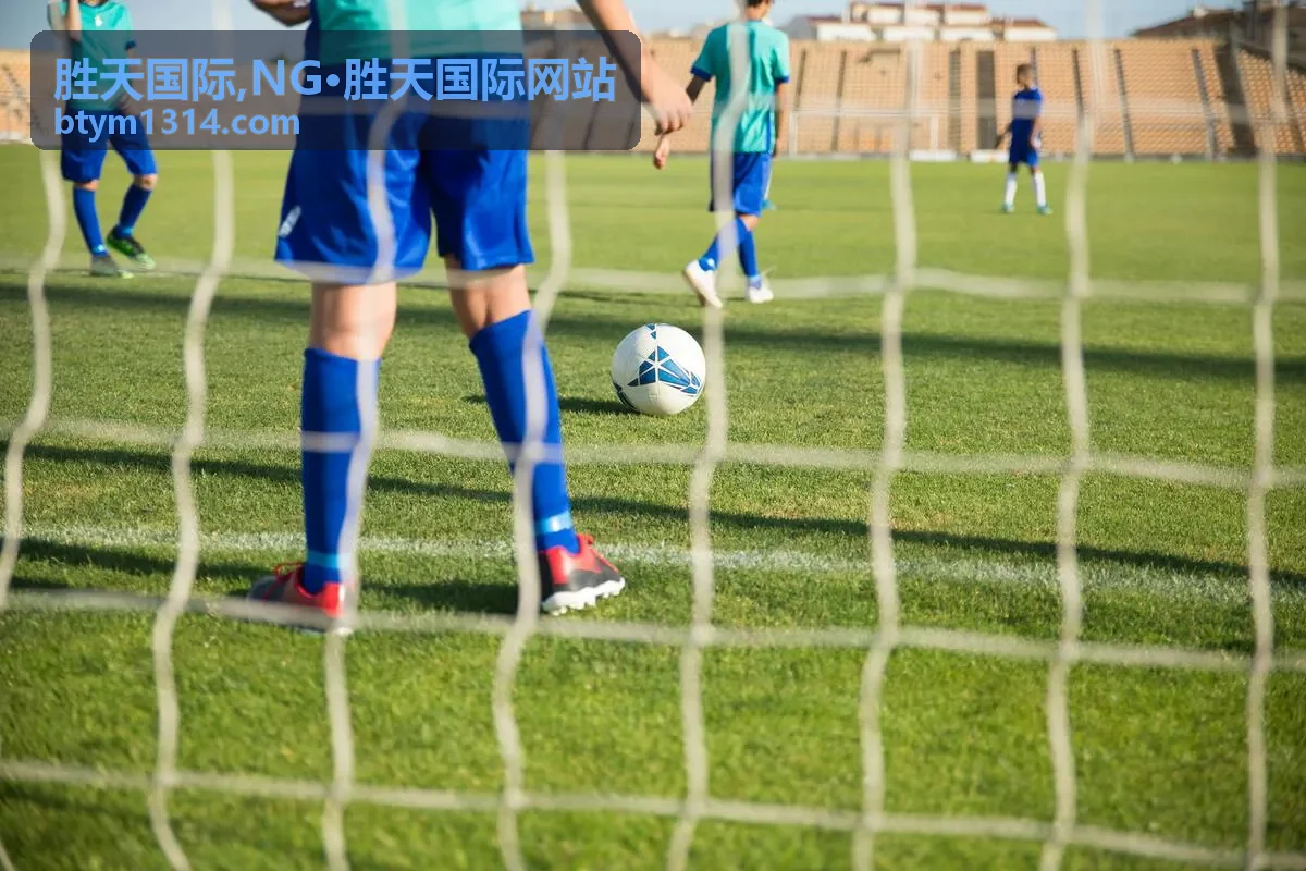 胜天国际,NG·胜天国际网站 网站指南封面图