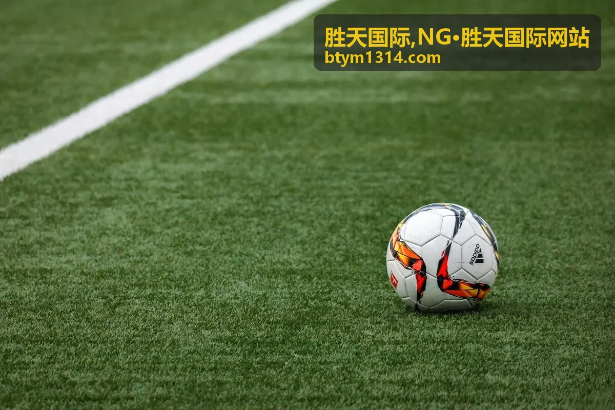胜天国际,NG·胜天国际网站 更新提示封面图